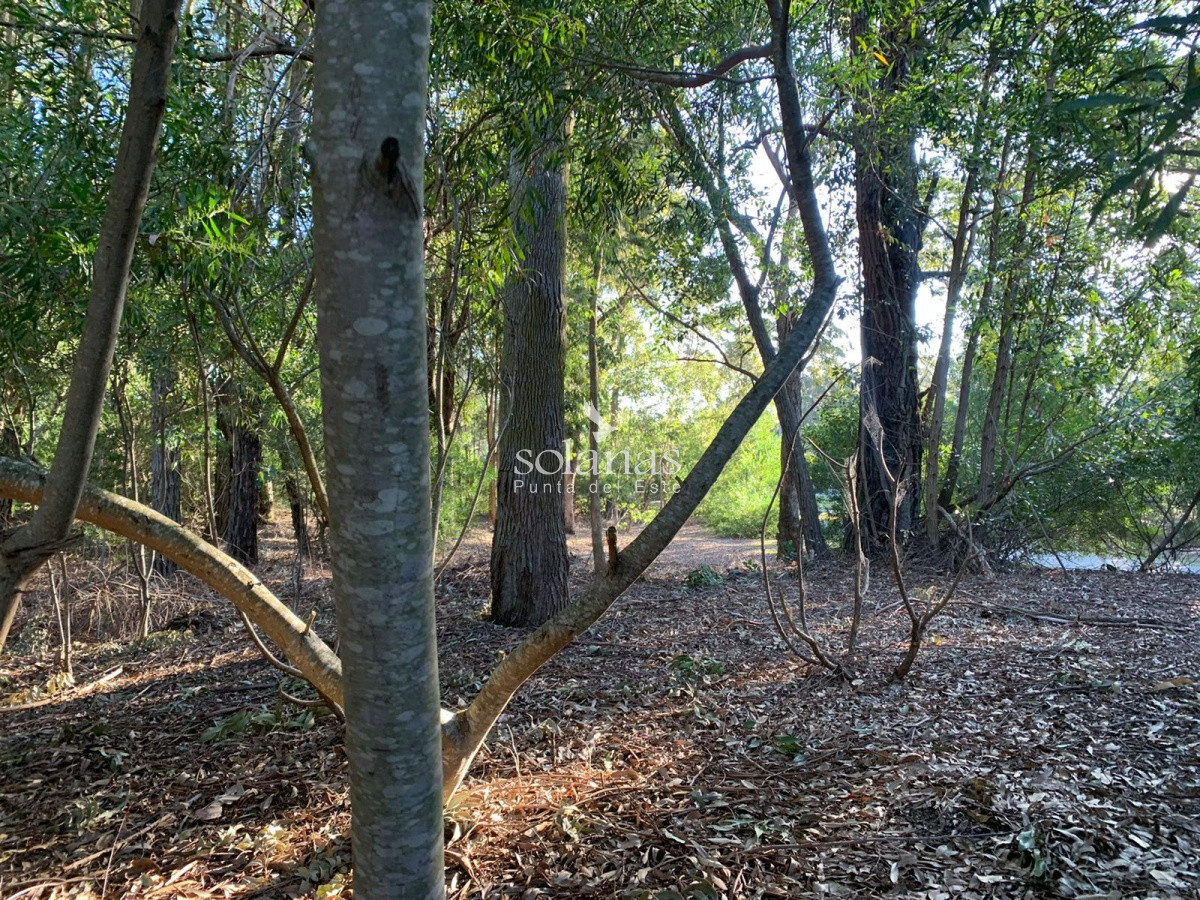 Terreno ID.83 - Terreno en Punta Ballena, Design Village