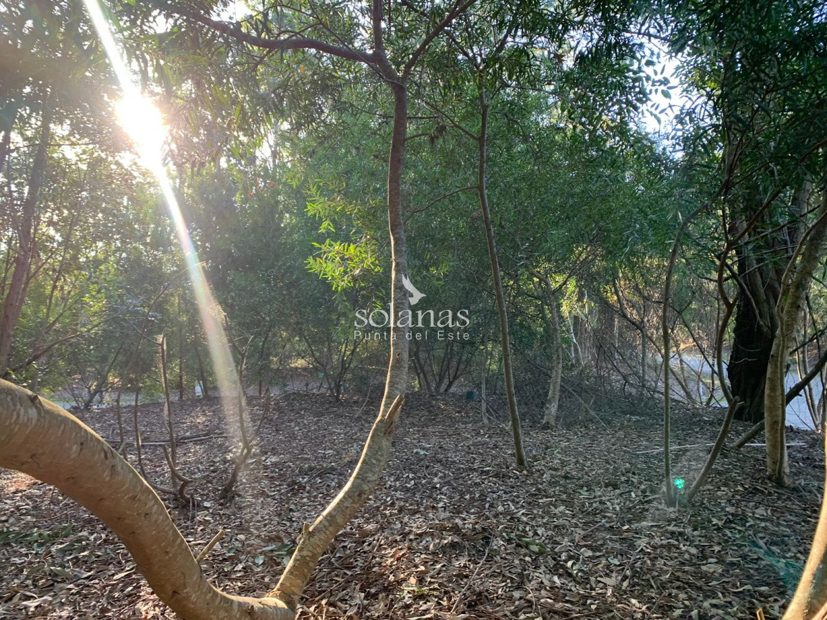 Terreno ID.83 - Terreno en Punta Ballena, Design Village