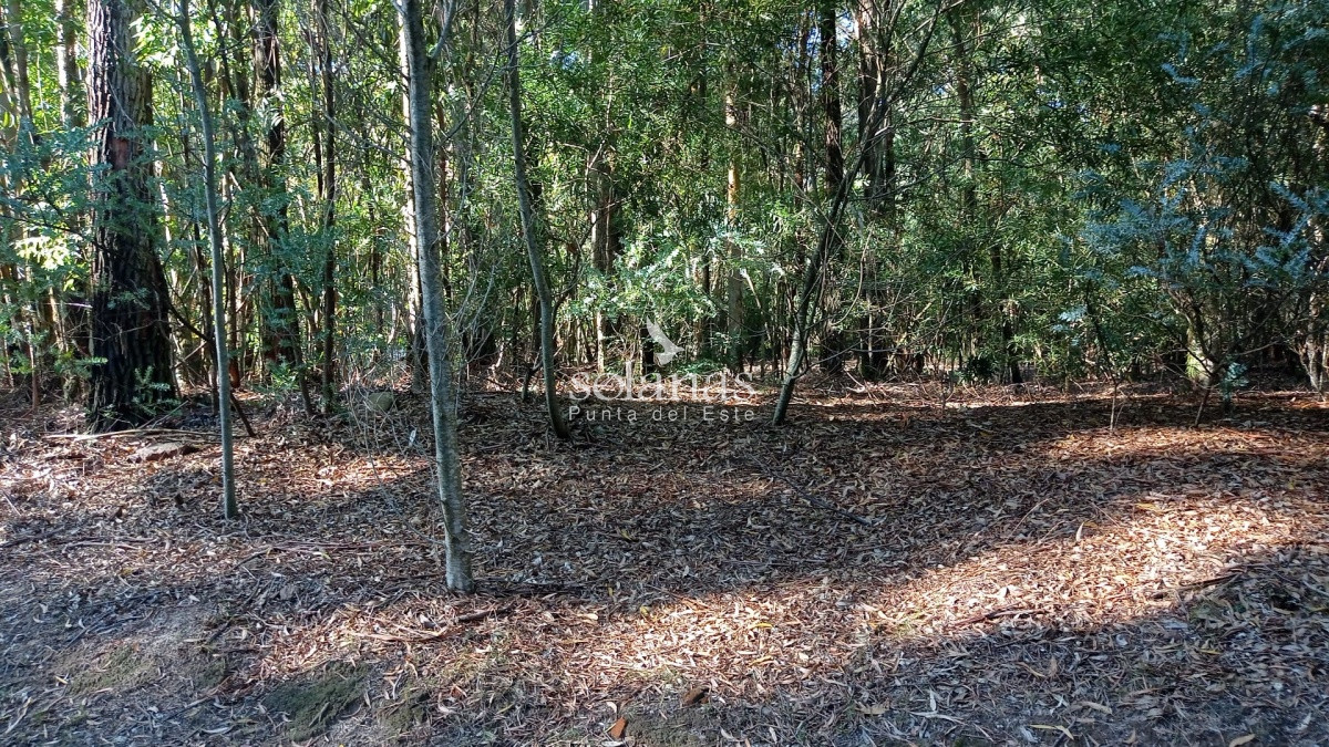 Terreno ID.69 - Excelente Lote Financiado 50 % en  24 sin  intereses 
