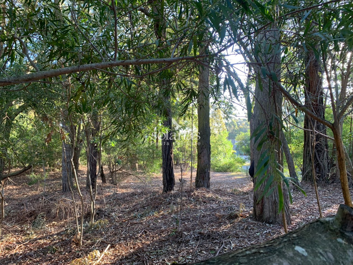 Terreno ID.83 - Terreno en Punta Ballena, Design Village