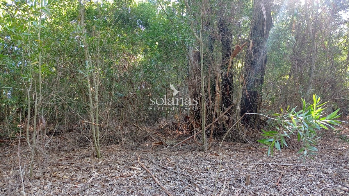 Terreno ID.68 - Terreno en Punta Ballena, Design Village