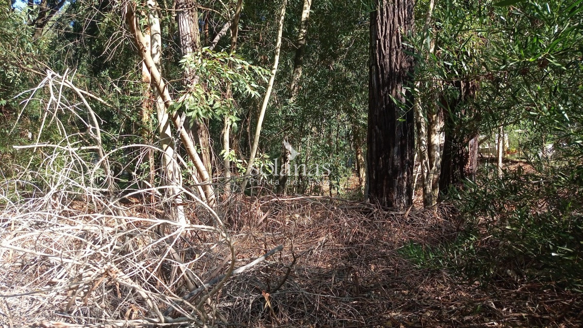 Terreno ID.52 - Terreno en Punta Ballena, Design Village