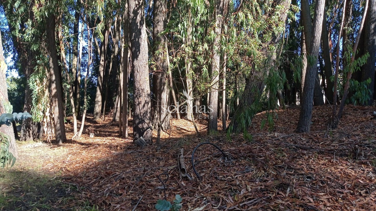 Terreno ID.65 - Excelente Lote 