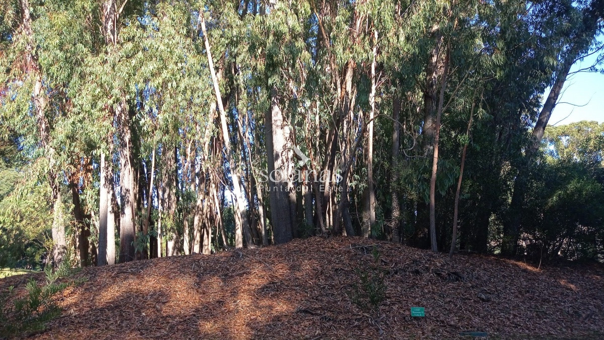 Terreno ID.65 - Excelente Lote 