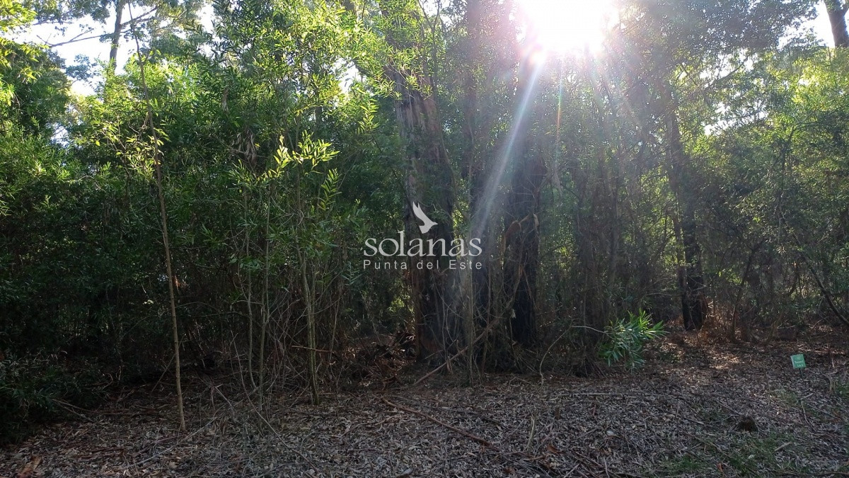 Terreno ID.68 - Terreno en Punta Ballena, Design Village