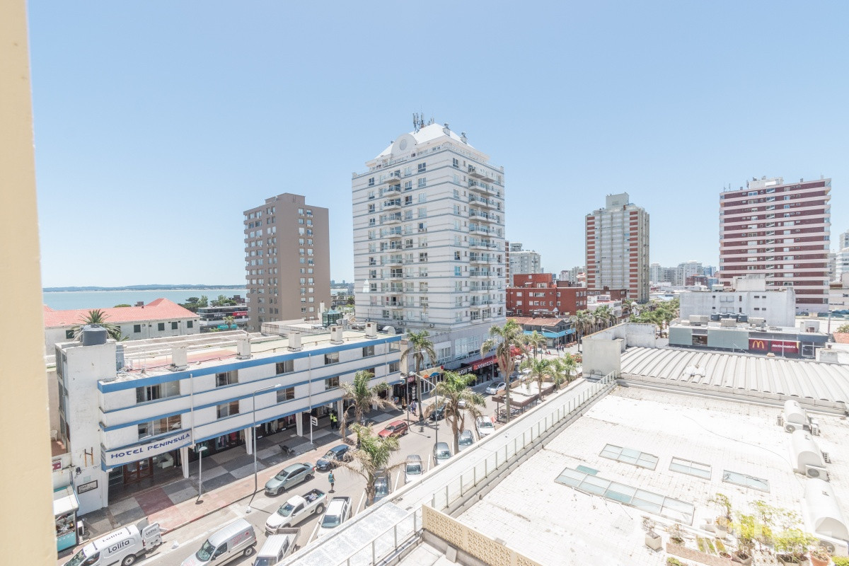 Apartamento ID.155 - Torre Libertador. Amplio apartamento de 1 dormitorio y medio. Frente a la Plaza.