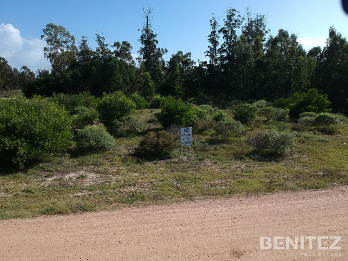 Terreno ID.8732 - Terreno apto vivienda social. Av. Lussich. Av Acuario. 