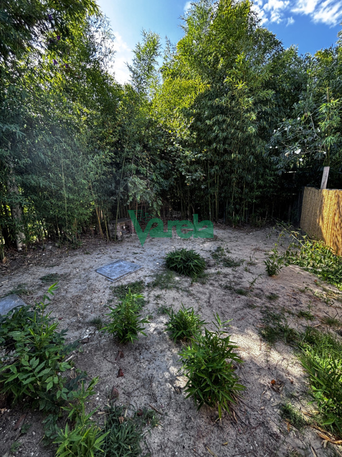 Casa ID.22952 - Alquiler local con vivienda sobre principal avenida en Pinar sur