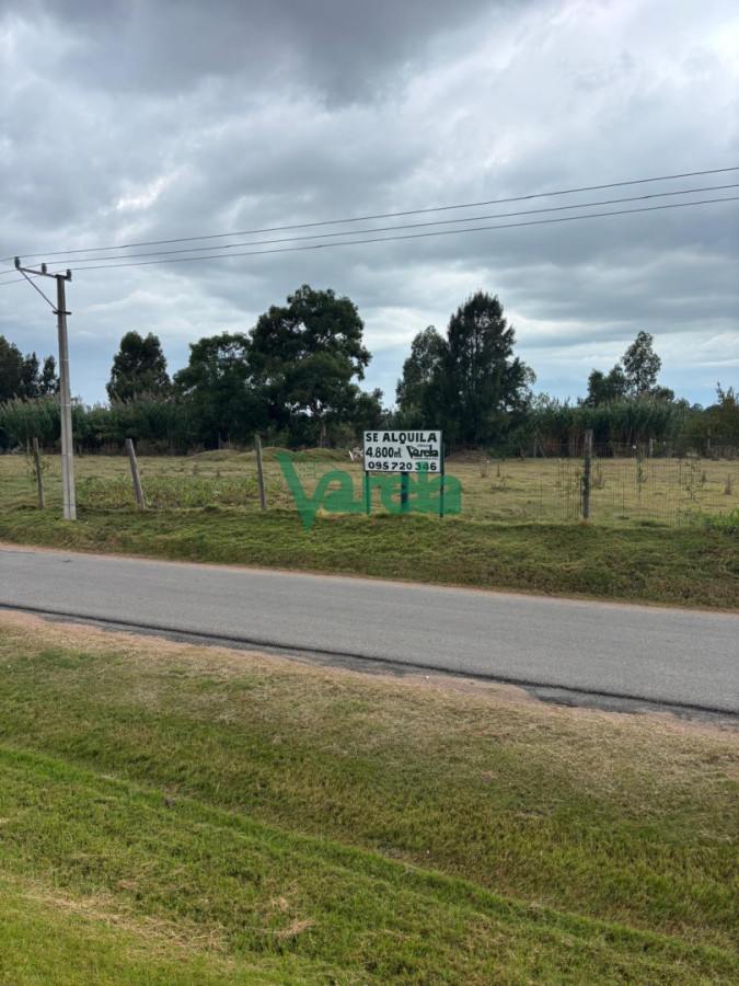 Casa ID.22985 - Alquiler terreno Interbalnearia de 4800 m2