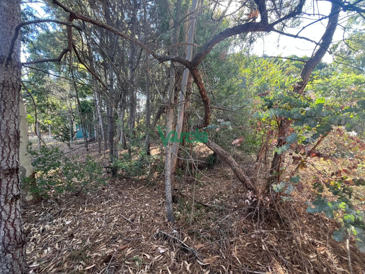 Casa ID.22993 - Casa de 2 dormitorios y 1 baño en Guazuvira Nuevo
