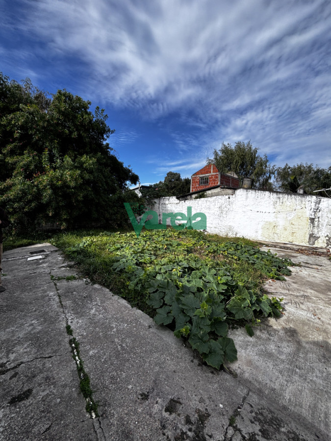 Casa ID.23054 - Casas en venta para inversión Pinar norte