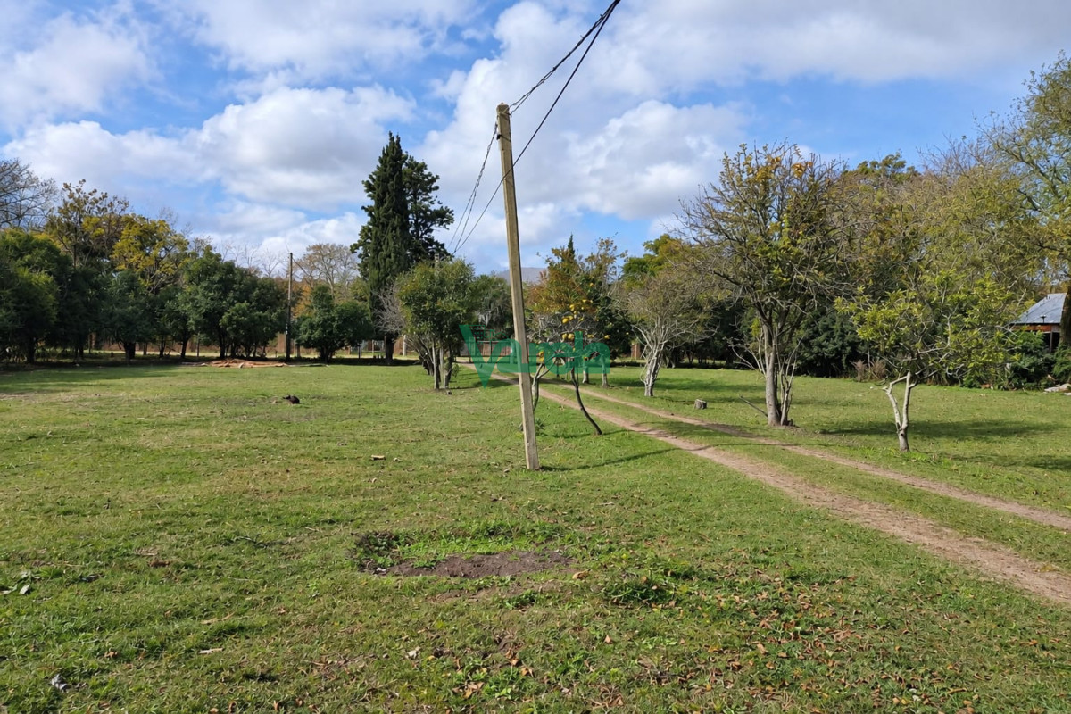 Casa ID.23144 - Venta Casas y terreno grande en Tomas Berreta a pasos de ruta 8