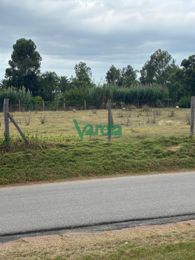 Casa ID.22984 - Alquiler de terreno de 4800m2 sobre Interbalnearia