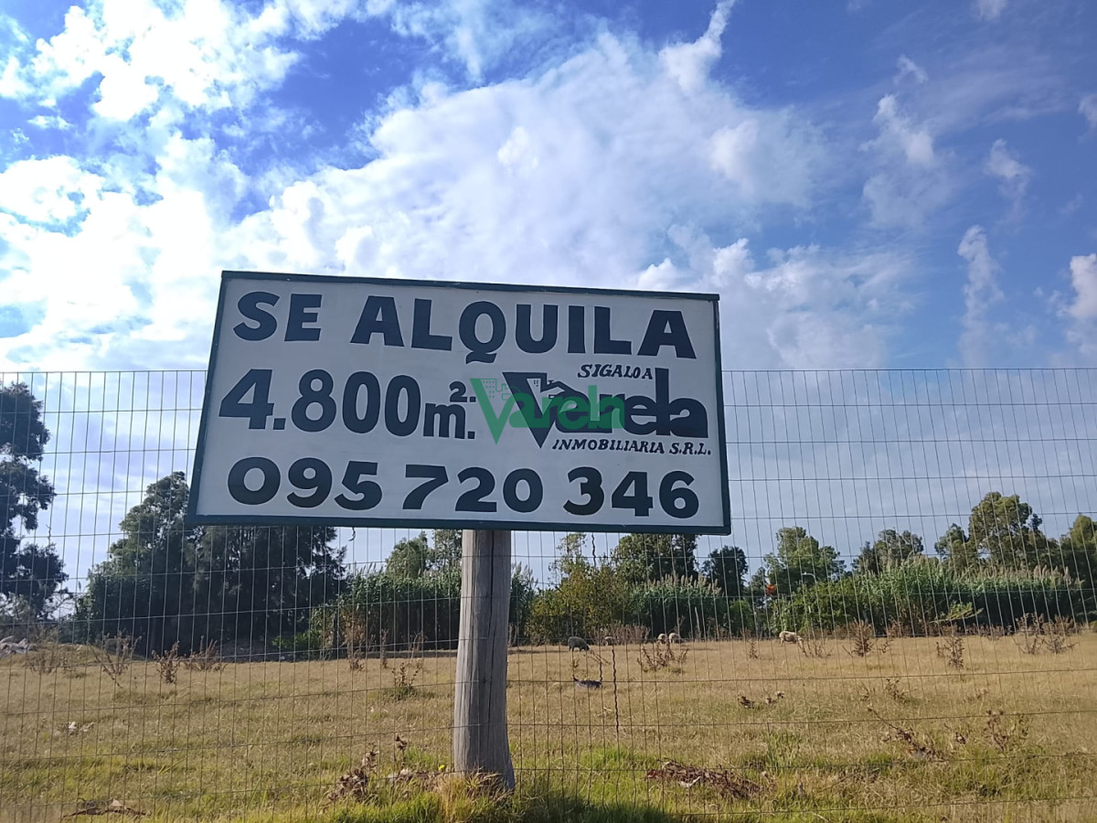 Casa ID.22984 - Alquiler de terreno de 4800m2 sobre Interbalnearia