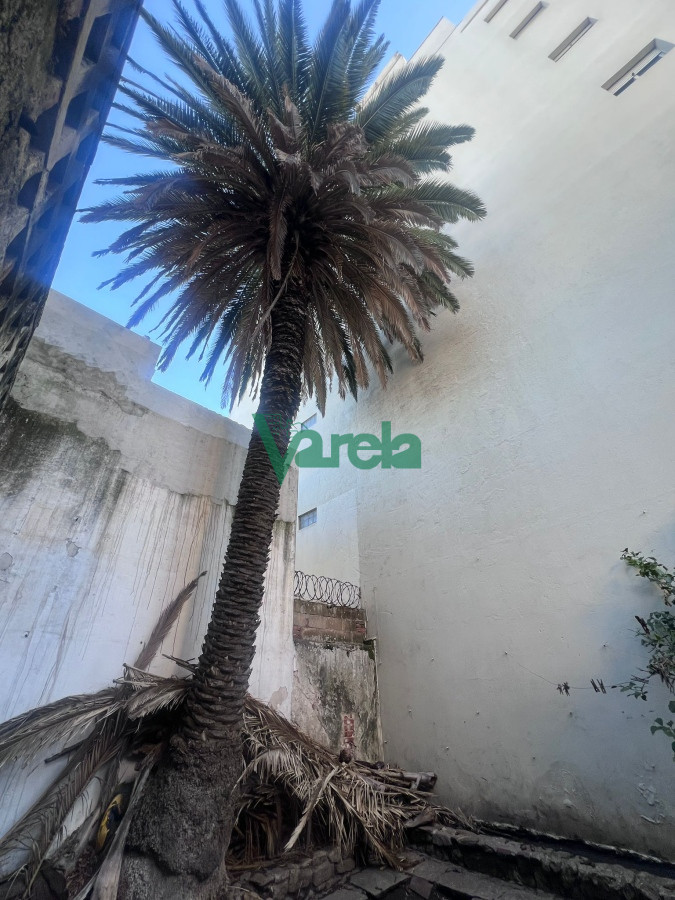Casa ID.22349 - Venta Casa Padron Unico Parque Rodo Punta Carretas