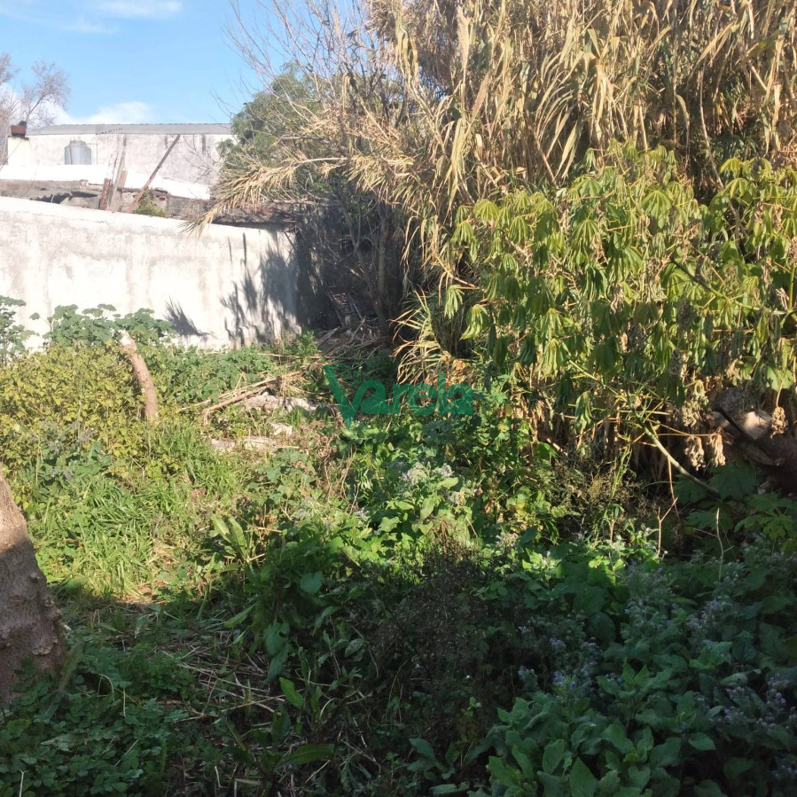 Casa ID.21278 - Casa en venta Maroñas 3 dorm 2 baños cochera x 2 fondo parrillero