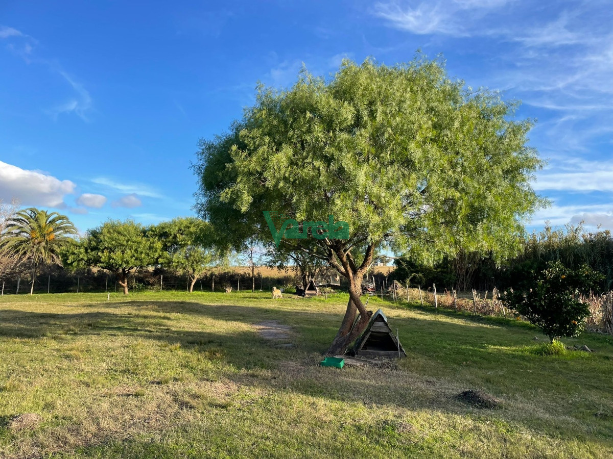Casa ID.22219 - Venta de Casa, Soca, con 3 dormitorios, parrillero techado, gran terreno.