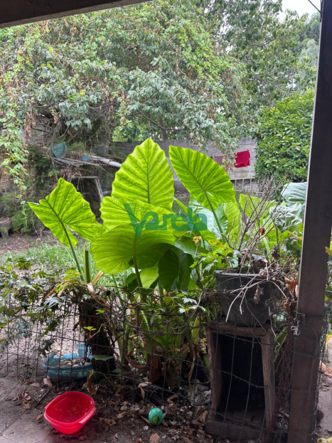 Casa ID.22938 - Casa Shangrilá sur padrón único