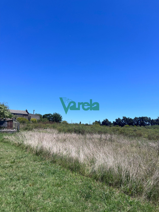 Galpón ID.22549 - Venta Galpon Con Excelente Terreno Sobre Av Mendoza Montevideo