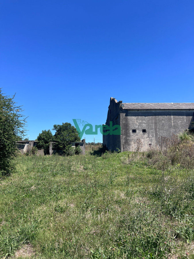 Galpón ID.22549 - Venta Galpon Con Excelente Terreno Sobre Av Mendoza Montevideo