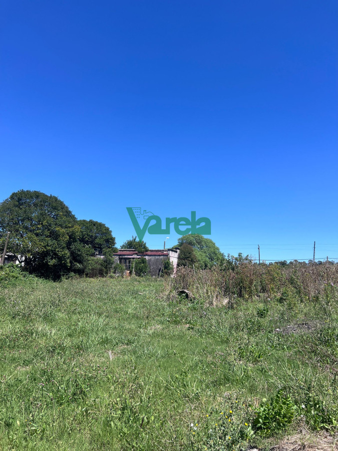 Galpón ID.22549 - Venta Galpon Con Excelente Terreno Sobre Av Mendoza Montevideo