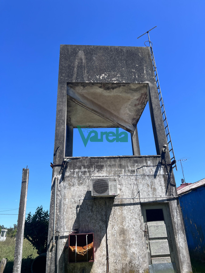 Galpón ID.22549 - Venta Galpon Con Excelente Terreno Sobre Av Mendoza Montevideo