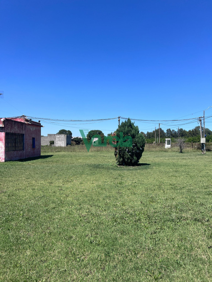 Galpón ID.22549 - Venta Galpon Con Excelente Terreno Sobre Av Mendoza Montevideo