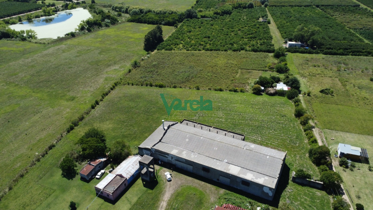 Galpón ID.22549 - Venta Galpon Con Excelente Terreno Sobre Av Mendoza Montevideo