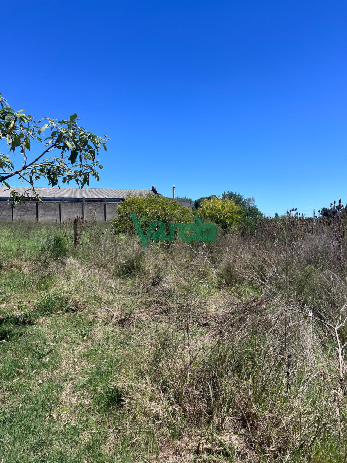Galpón ID.22549 - Venta Galpon Con Excelente Terreno Sobre Av Mendoza Montevideo