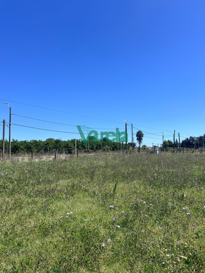 Galpón ID.22549 - Venta Galpon Con Excelente Terreno Sobre Av Mendoza Montevideo