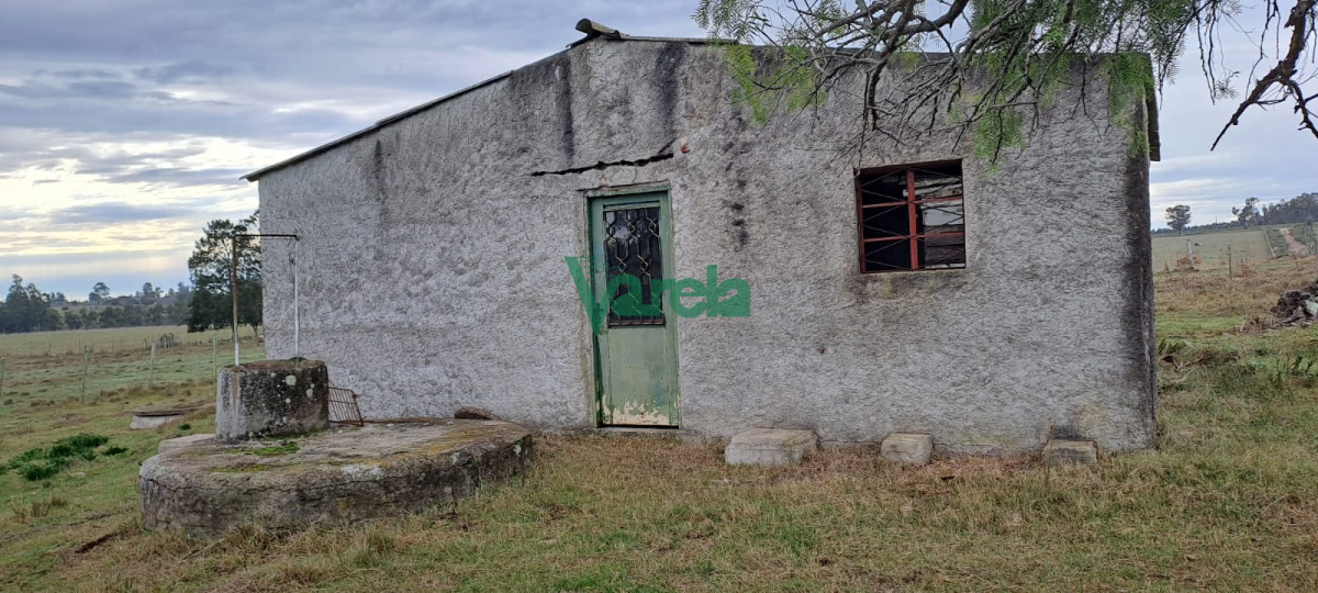 Chacra ID.21842 - Venta de Chacra, Ruta 11, km.152, de 3,5 has. a 200 metros de Ruta 