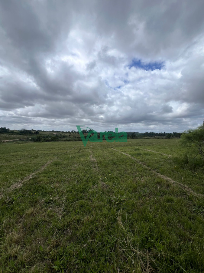 Chacra ID.22474 - Venta Chacra 5000m2 con construccion Joaquin Suarez 
