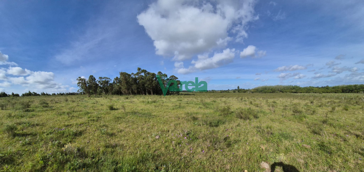 Chacra ID.23036 - Venta chacra 13 hectareas entre Estación Pedrera y Estación Tapia