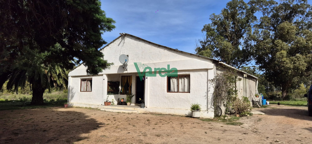 Chacra ID.22771 - Venta de Chacra de 6 hectareas en Santa Lucia del Este