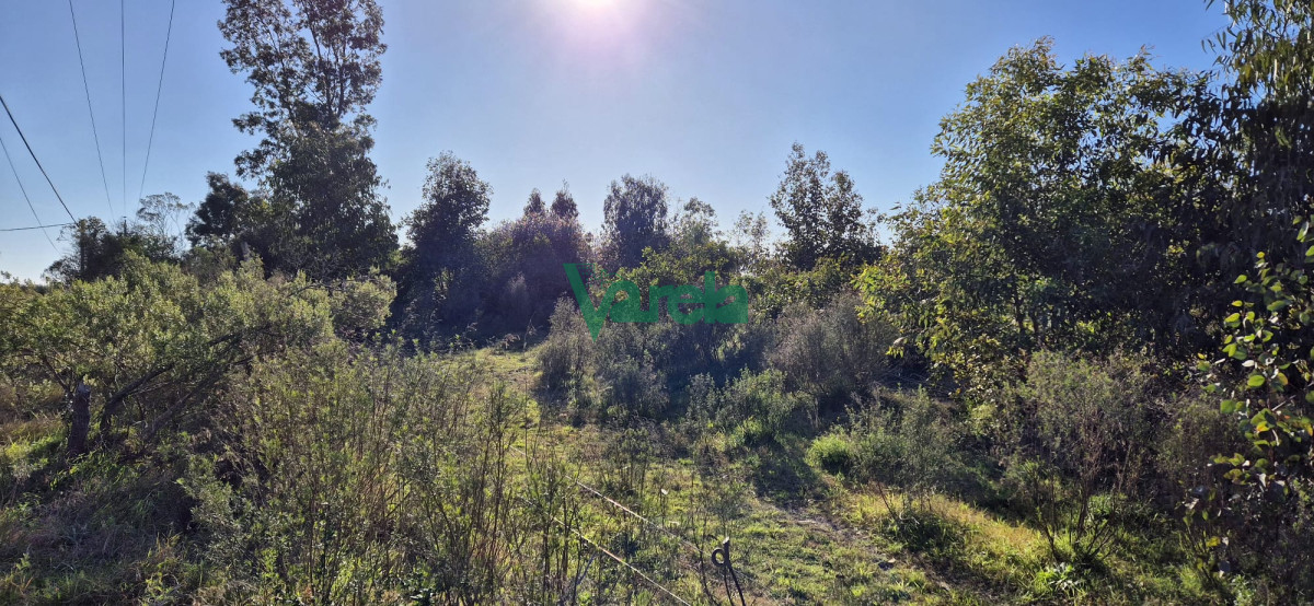 Chacra ID.22328 - Chacra 3 has.Fortín Santa Rosa