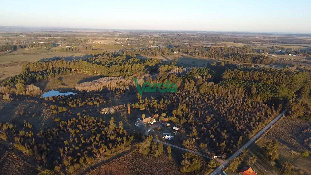 Chacra ID.22673 - Venta Chacra 10 has km 45 ruta 8 Empalme Olmos Canelones