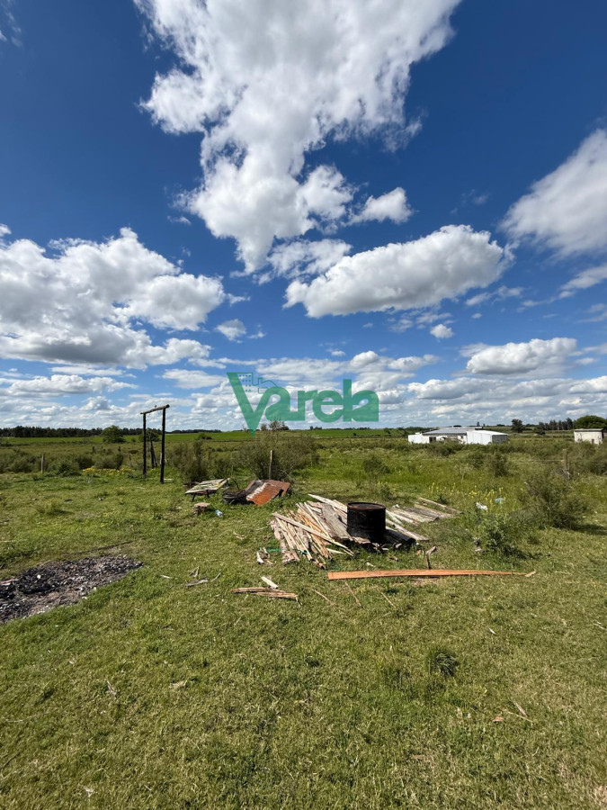 Chacra ID.22820 - Venta Chacra 10 has Sauce 2 Casas Queseria 2 Galpones