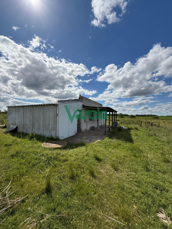 Chacra ID.22820 - Venta Chacra 10 has Sauce 2 Casas Queseria 2 Galpones