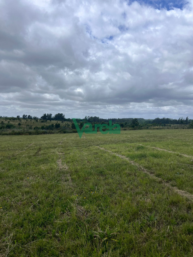 Chacra ID.22474 - Venta Chacra 5000m2 con construccion Joaquin Suarez 
