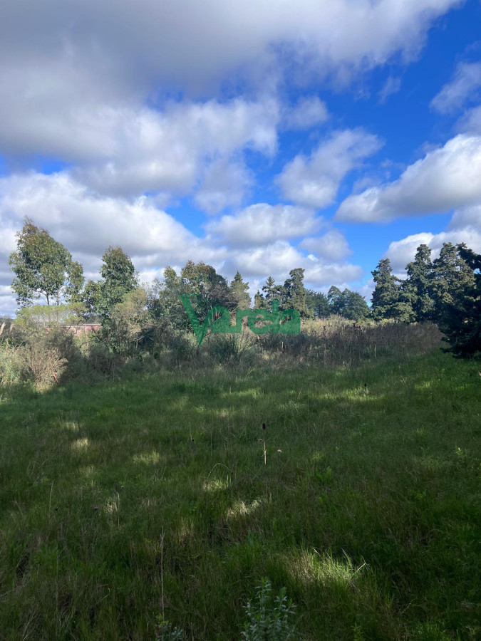 Chacra ID.22265 - venta chacra con galpon baño y ambiente toledo