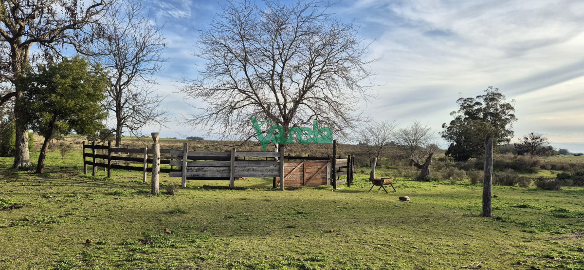 Chacra ID.22729 - Chacra 7,5 has.próxima a Estación Migues