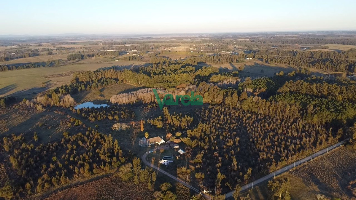 Chacra ID.22673 - Venta Chacra 10 has km 45 ruta 8 Empalme Olmos Canelones