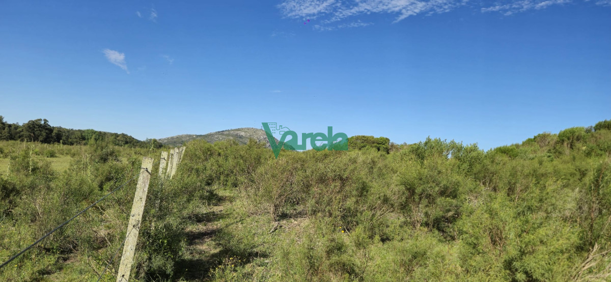 Chacra ID.22872 - Chacra Marítima de 5 has.en Playa Hermosa, a 9 cuadras de la playa