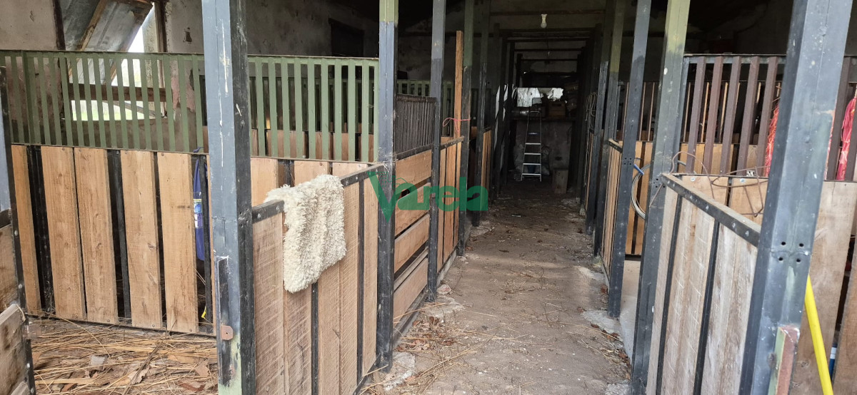 Chacra ID.22729 - Chacra 7,5 has.próxima a Estación Migues