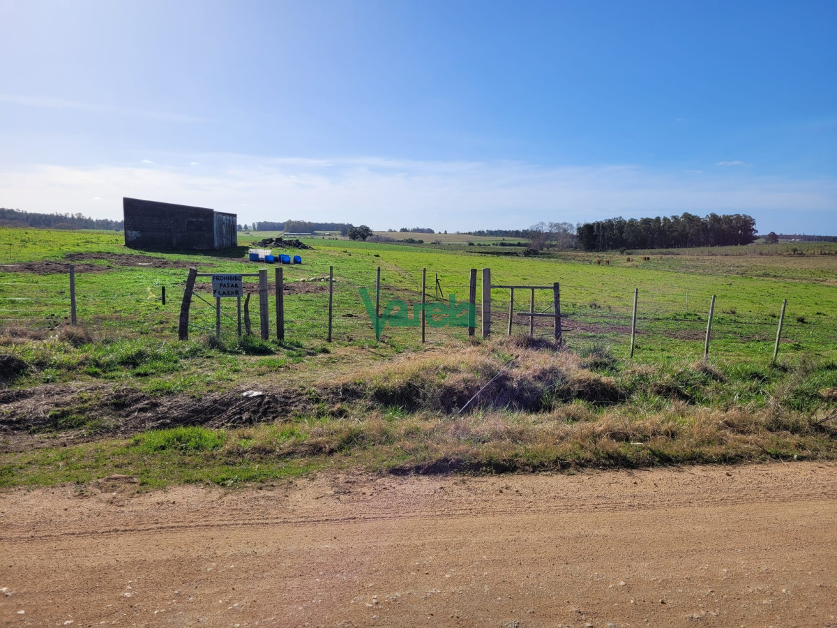 Chacra ID.22478 - Venta de chacra en Atlantida