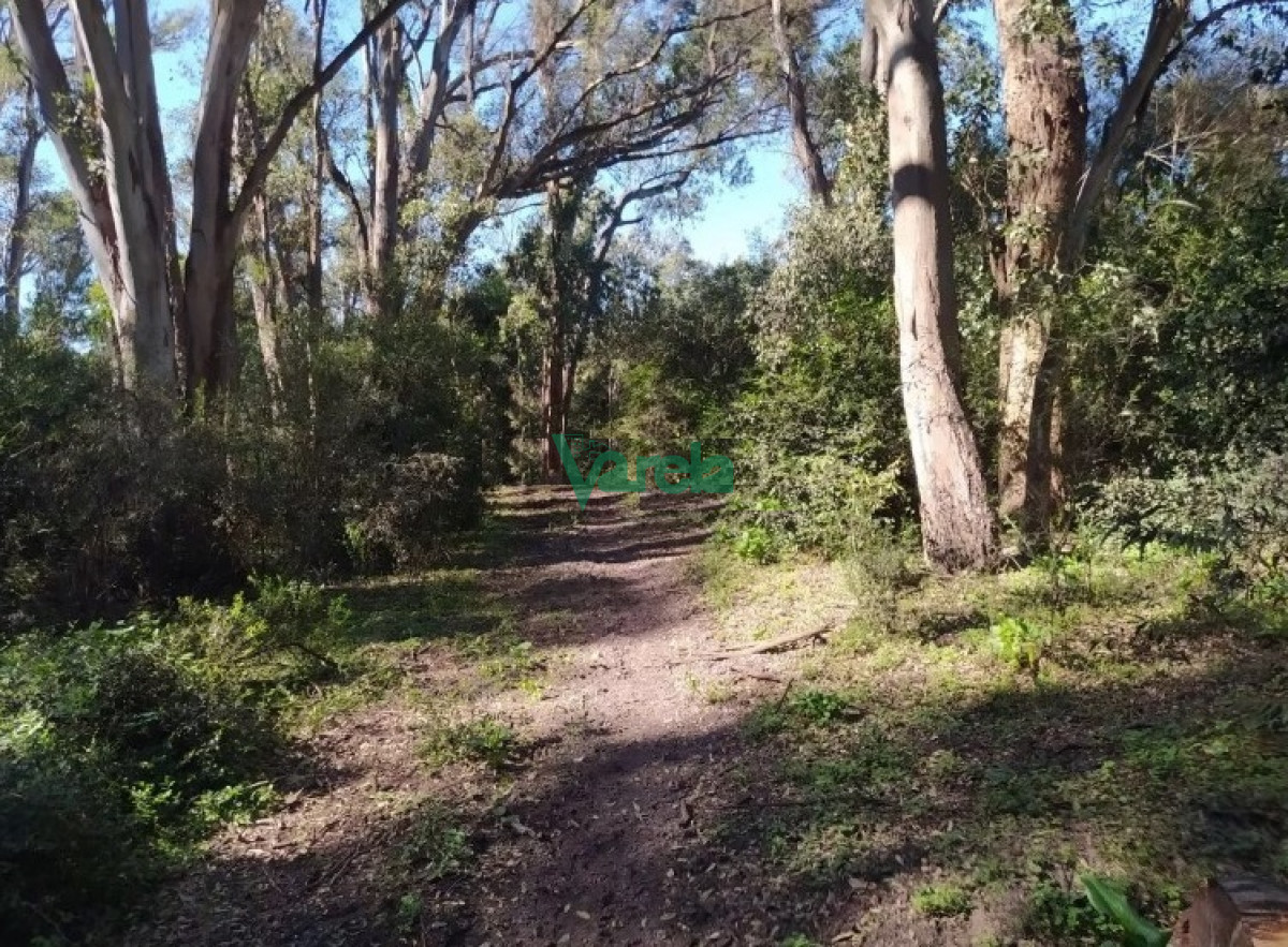Chacra ID.21921 - Chacra en venta 11.6  has. con 348 metros con costa sobre Arroyo Solis, Jaureguiberry