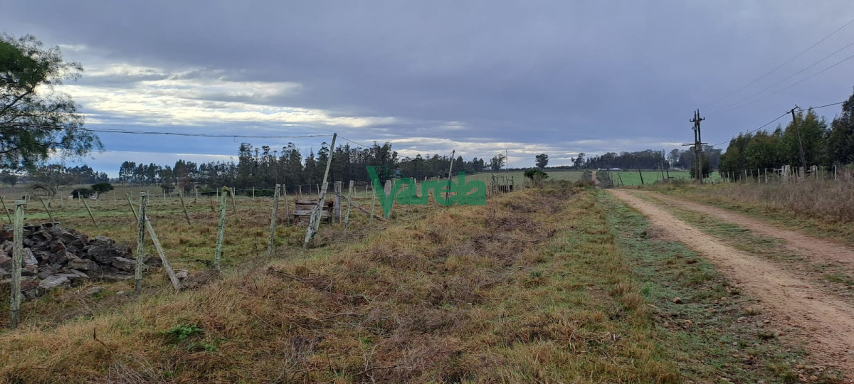 Chacra ID.21842 - Venta de Chacra, Ruta 11, km.152, de 3,5 has. a 200 metros de Ruta 