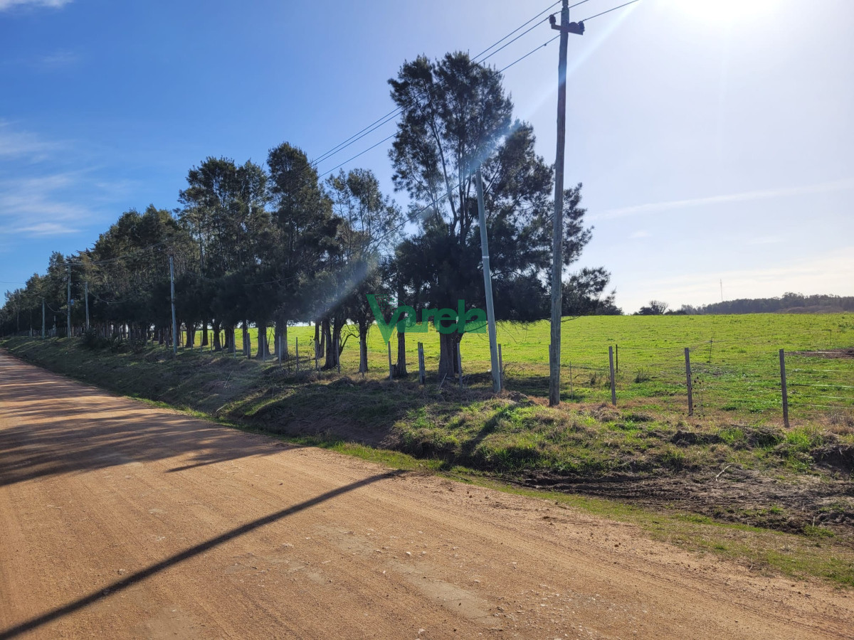 Chacra ID.22479 - Chacra a la venta en Atlantida