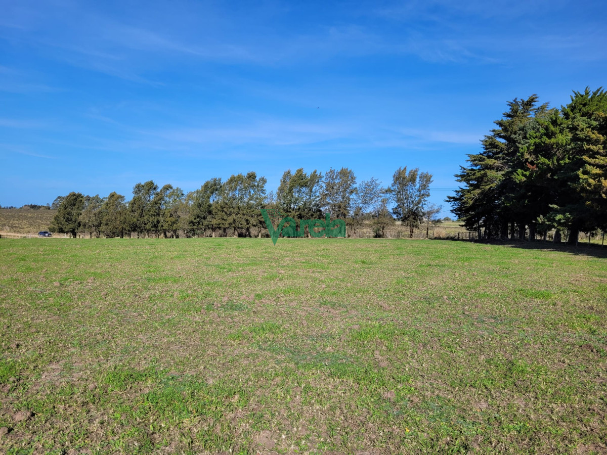 Chacra ID.22479 - Chacra a la venta en Atlantida