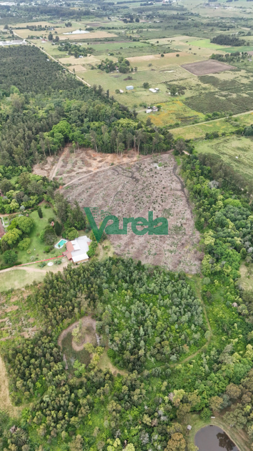 Chacra ID.22857 - Venta chacra baldia 3 hectares Ruta 6 Toledo 100% financiada